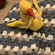 For sale: Easter Ducks handmade