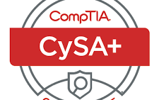 whatsapp +1(702)509-4382 BUY PMP,CISA,CISSP,CISCO,CISM,CEH PAYMENT AFTER RESULTS