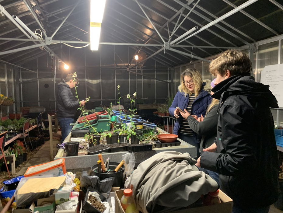 ASlake Community Glasshouse Growers Sprowston