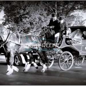 Auldreekie Photography/Videography
