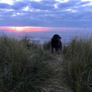 Heacham Beach Sunset 17th Feb 2017